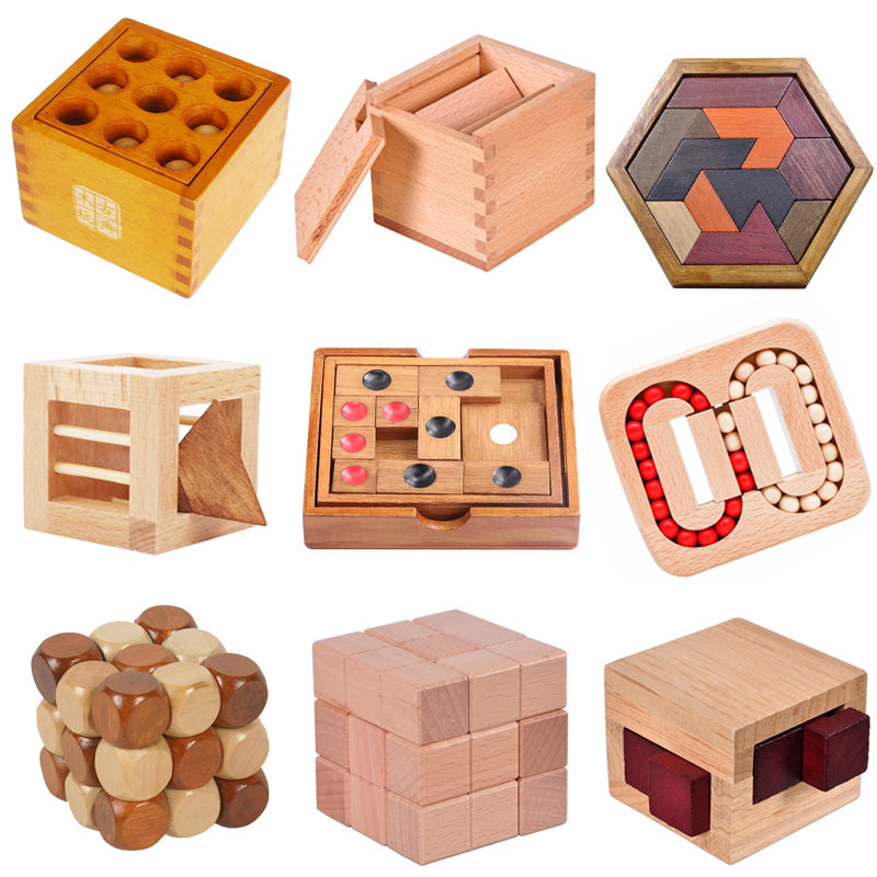 IQ 3D Wooden Puzzles