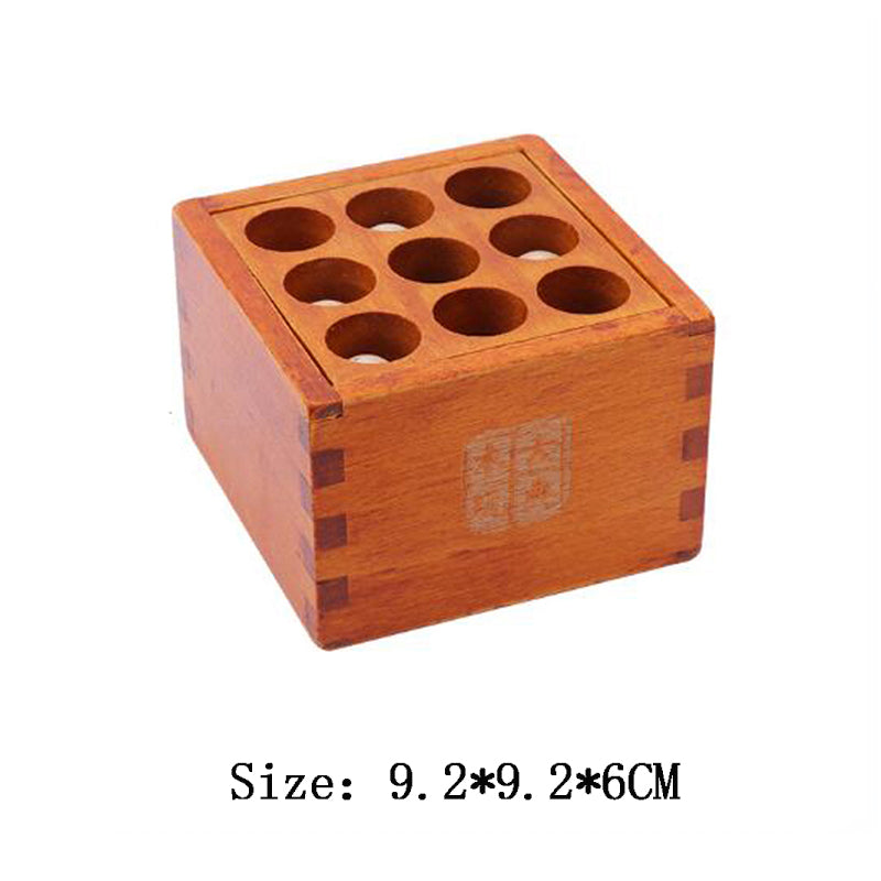 IQ 3D Wooden Puzzles
