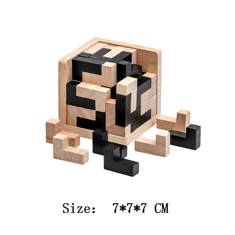 IQ 3D Wooden Puzzles