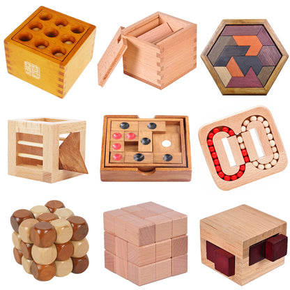 IQ 3D Wooden Puzzles