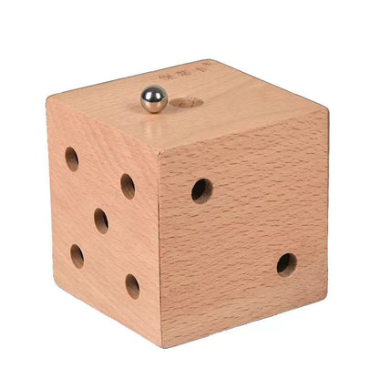 IQ 3D Wooden Puzzles