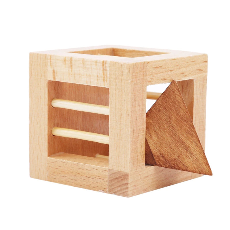 IQ 3D Wooden Puzzles