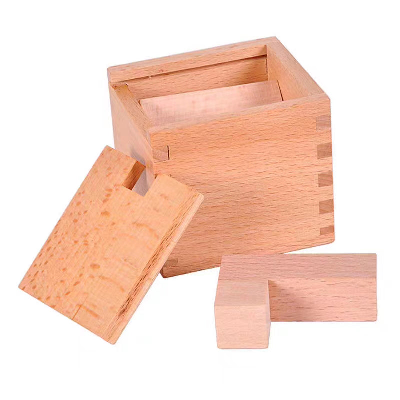 IQ 3D Wooden Puzzles