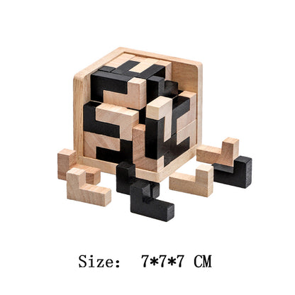 IQ 3D Wooden Puzzles