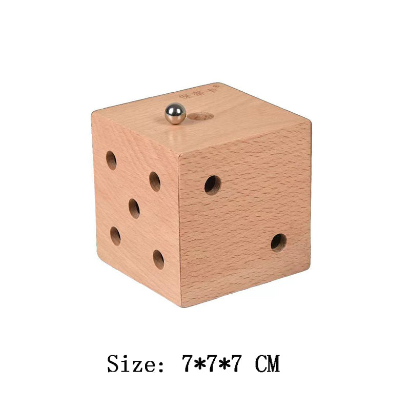 IQ 3D Wooden Puzzles