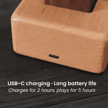 Handmade Mechanical Wooden Manta Ray